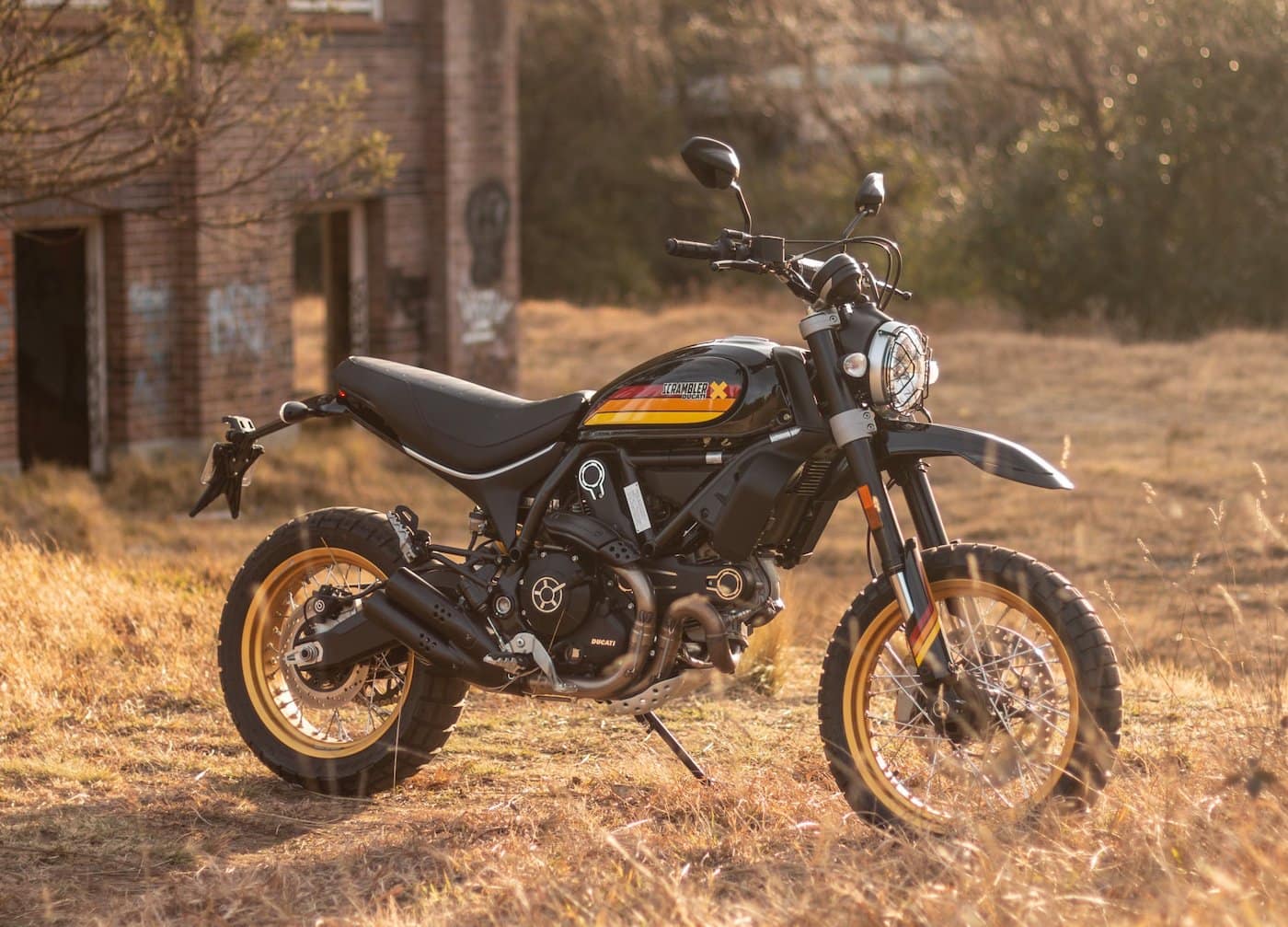 Ducati Scrambler desert sled in soft lighting