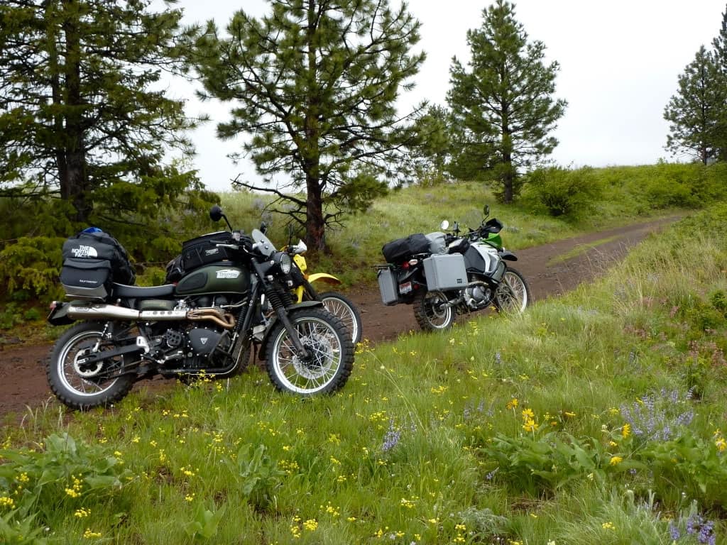 A Triumph Scrambler with an Arrow exhaust, in adventure mode, powering up a dirt road