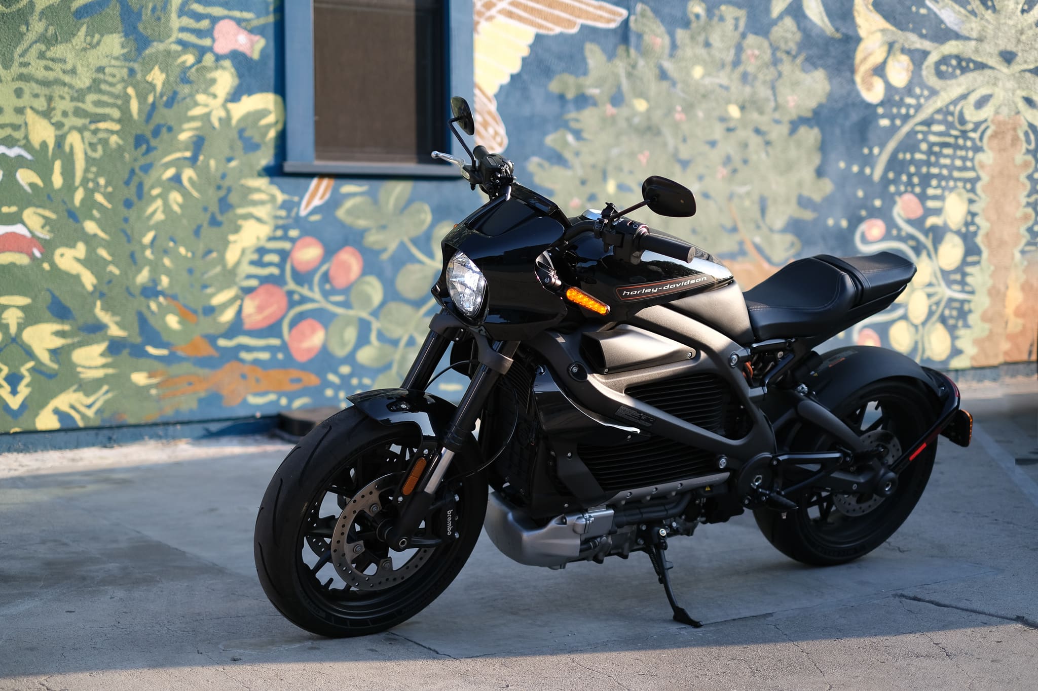 The Harley-Davidson LiveWire looks very good.