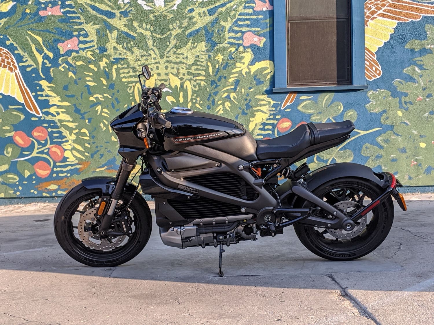 Side photo of the LiveWire