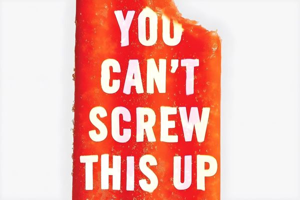Lessons I Learned from "You Can't Screw This Up" by Adam Bornstein